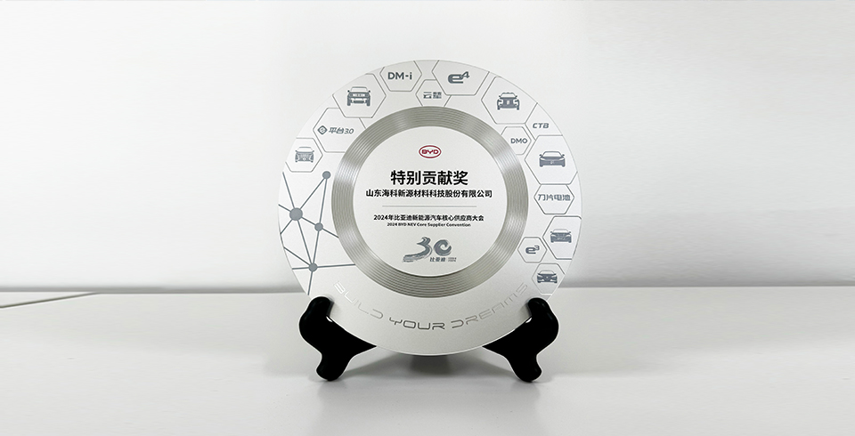 九游体育（中国）官方网站-九游一站式畅玩连续四年再度荣获比亚迪2024年“特别贡献奖”
